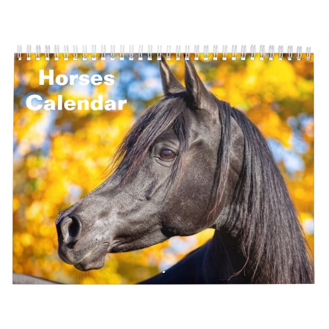 Calendrier 2027 Cheval (Protection)