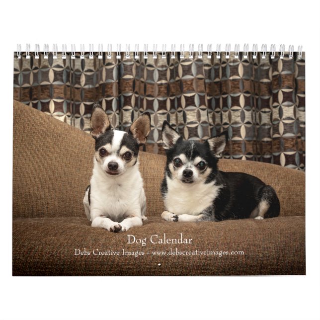 Calendrier 2027 Chiens | Meilleurs amis en toutes saisons (Protection)