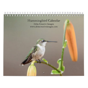 Calendrier 2027 Colibris Petits Joyaux de la Nature