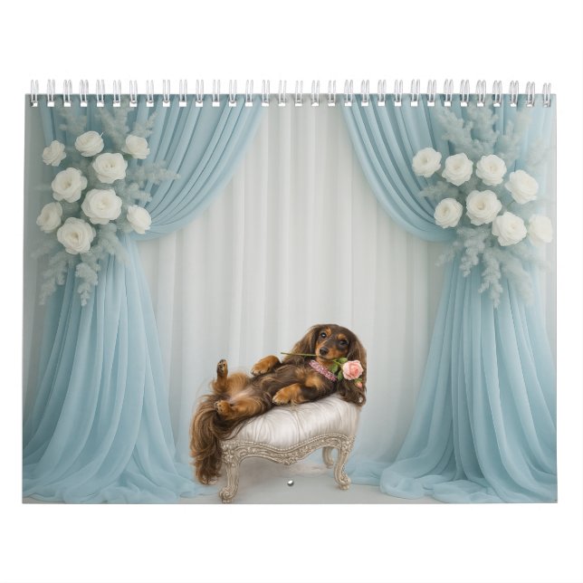 CALENDRIER 2027 DACHSHUND (Protection)