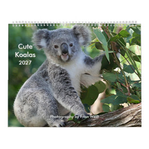Calendrier 2027 de Koala mignon et câlin