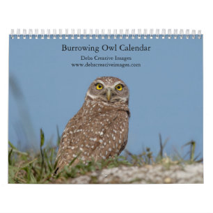 Calendrier 2027 de la Chouette des terriers Sud-