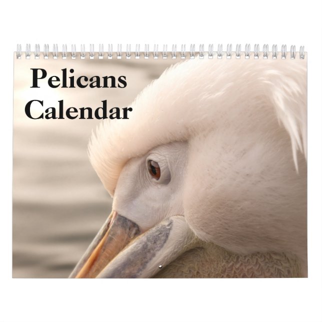 Calendrier 2027 des oiseaux Pélicans (Protection)
