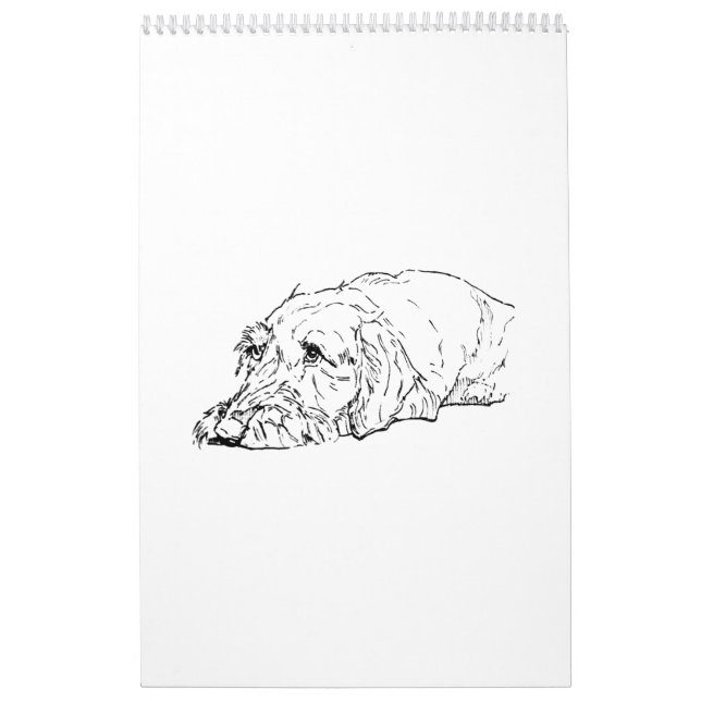 Calendrier 2027 du Dachshund à poil dur (Protection)