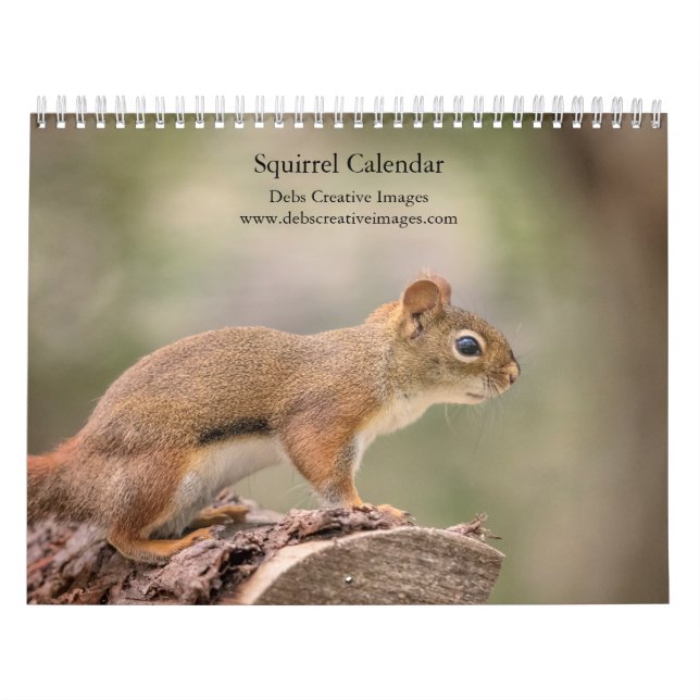 Calendrier 2027 Écureuils | Photographie de faune forestière (Protection)