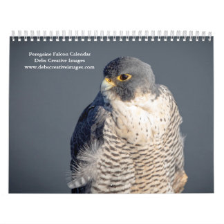Calendrier 2027 Faucon Pèlerin | L'oiseau le plus rapide du m