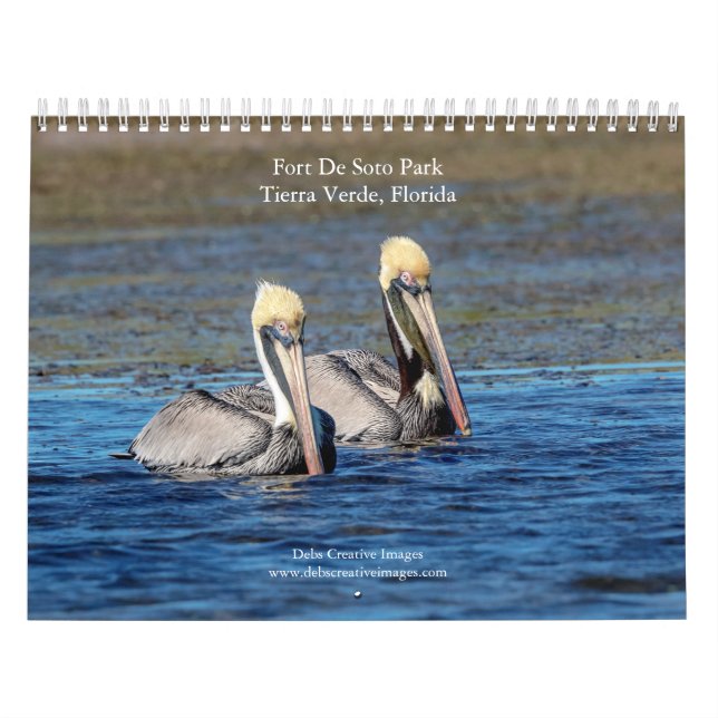 Calendrier 2027 Faune à Fort De Soto Park, Floride Nature (Protection)
