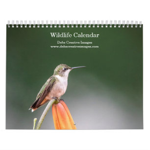 Calendrier 2027 Faune d'Amérique du Nord Oiseaux & Mammifèr