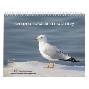 Calendrier 2027 Faune de la vallée de l'Hudson Nature