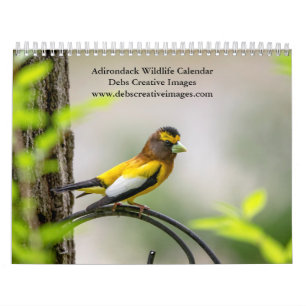 Calendrier 2027 Faune des Adirondacks Nature de Montagne