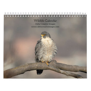 Calendrier 2027 Faune du Nord-Est Oiseaux & Mammifères