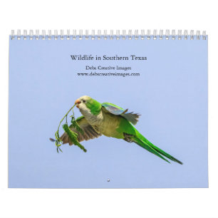 Calendrier 2027 Faune du sud du Texas Photographie de natur