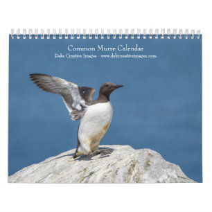 Calendrier 2027 Guillemots de Troïl Oiseaux marins de l'Atl