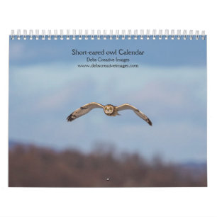 Calendrier 2027 Hibou des marais Photographie de
