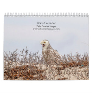 Calendrier 2027 Hiboux d'Amérique du Nord Photographie de l