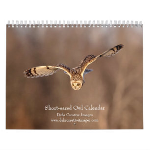 Calendrier 2027 Hiboux des marais, Rapaces des prairies en vo