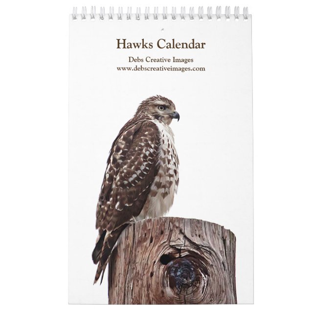 Calendrier 2027 Hudson Valley Red-tailed Hawks | Photographie (Protection)