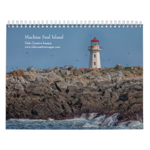 Calendrier 2027 île Machias Seal Macareux et oiseaux marins