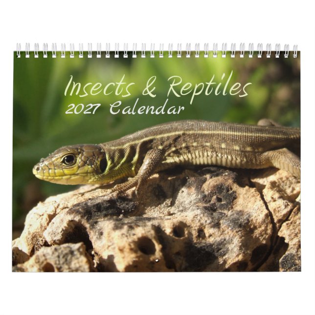 Calendrier 2027 Insectes & Reptiles (Protection)