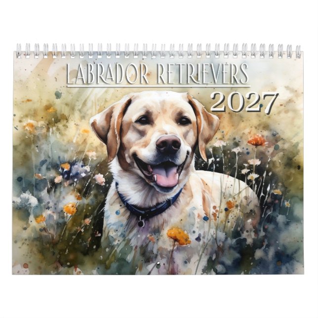 Calendrier 2027 Labrador Retriever (Protection)