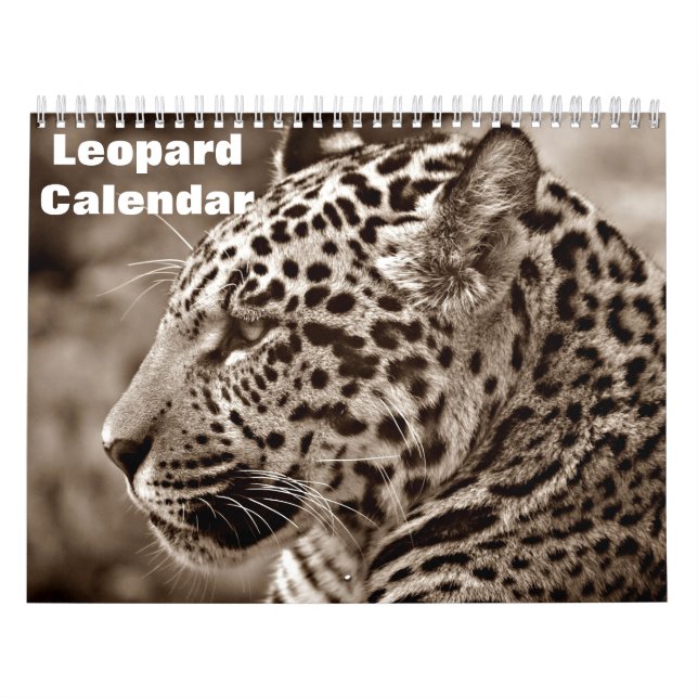Calendrier 2027 Léopard (Protection)