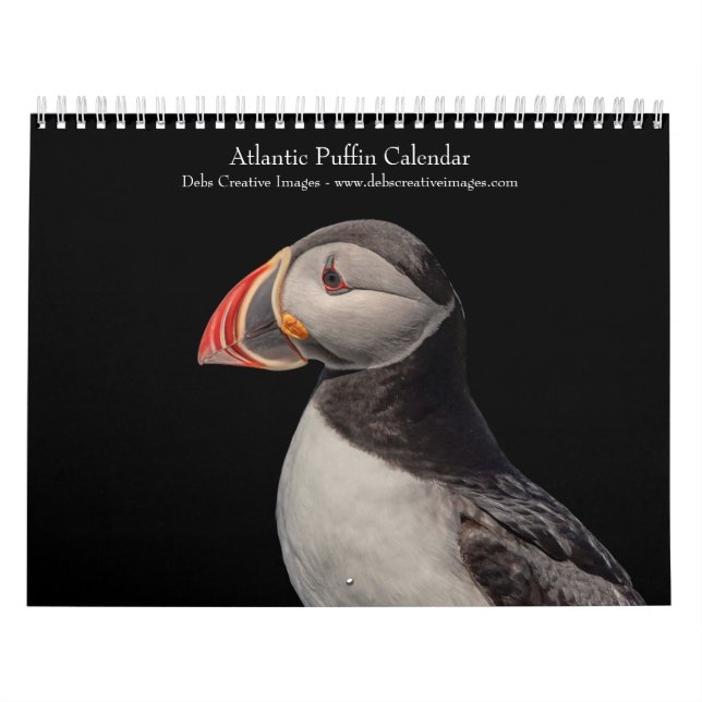 Calendrier 2027 Macareux atlantiques | Oiseaux de mer du Main (Protection)