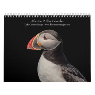 Calendrier 2027 Macareux atlantiques Oiseaux de mer du Main