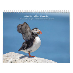 Calendrier 2027 Macareux de l'Atlantique   Photographie de la