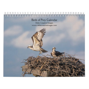 Calendrier 2027 Majestic Raptors Oiseaux de Proie