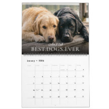 2027 Meilleurs Chiens Ever Créez Votre Propre Phot