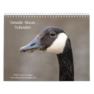 Calendrier 2027 Oies du Canada Photographie de famille et d