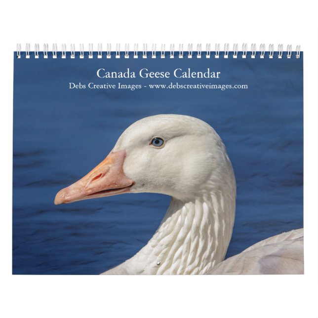 Calendrier 2027 Oies du Canada | Photographie de faune famili (Protection)