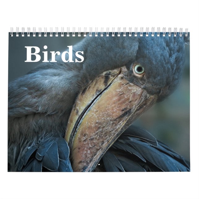 Calendrier 2027 Oiseaux (Protection)