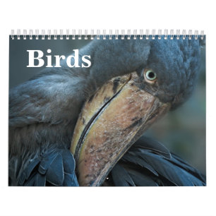 Calendrier 2027 Oiseaux