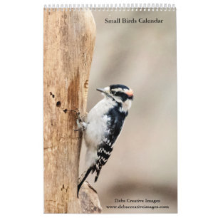 Calendrier 2027 Oiseaux chanteurs de Hudson Valley Photogra