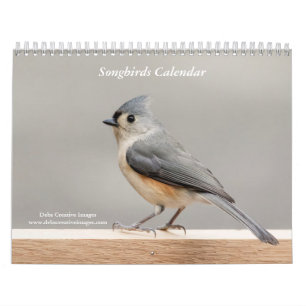Calendrier 2027 Oiseaux chanteurs de jardin Hudson Valley &