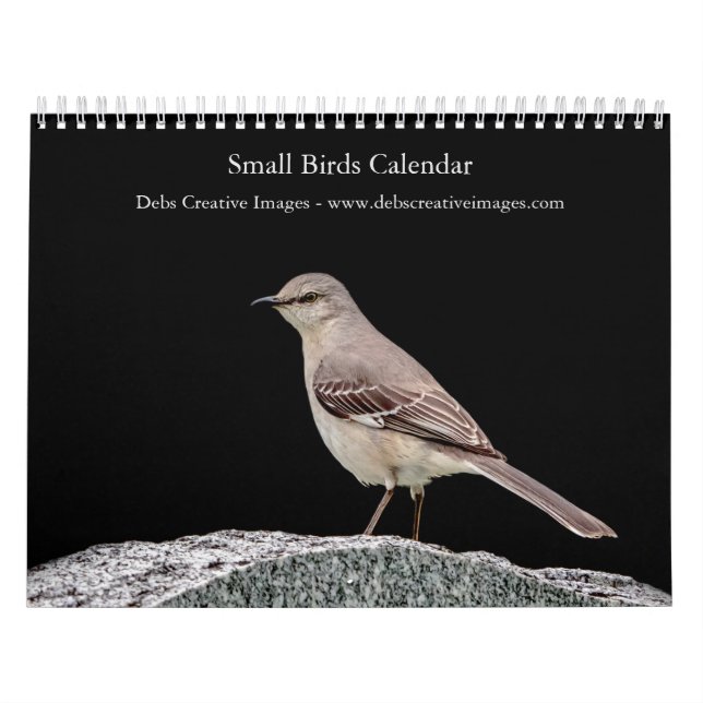 Calendrier 2027 Oiseaux chanteurs de jardin | Oiseaux d'Améri (Protection)