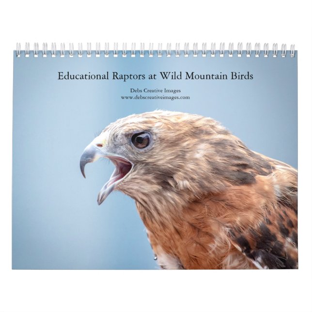 Calendrier 2027 Oiseaux Éducatifs à Wild Mountain Birds (Protection)