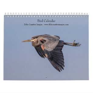 Calendrier 2027 Oiseaux Magnifiques Photographie de faune s