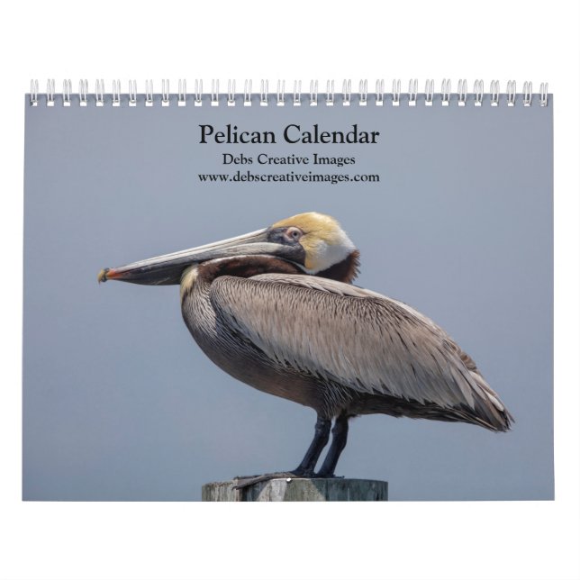Calendrier 2027 Pélicans de Floride | Faune côtière (Protection)