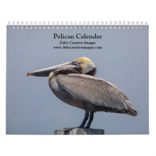 Calendrier 2027 Pélicans de Floride Faune côtière