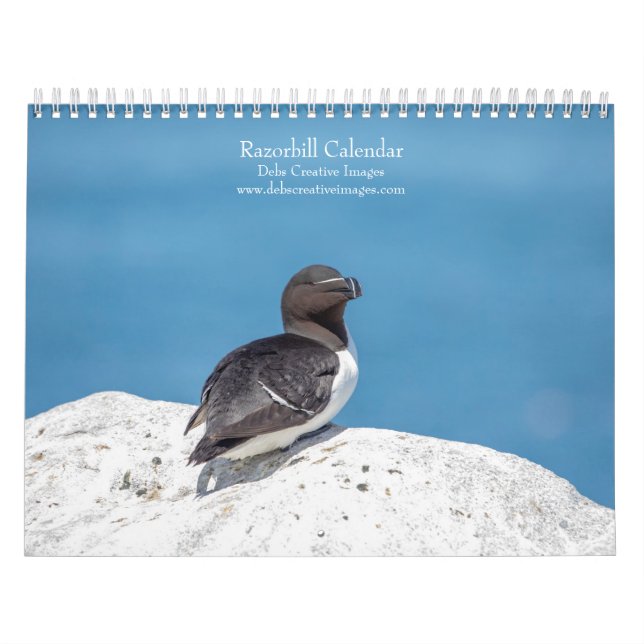 Calendrier 2027 Petit Pingouin | Oiseaux marins du Maine (Protection)