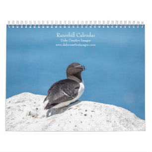 Calendrier 2027 Petit Pingouin Oiseaux marins du Maine