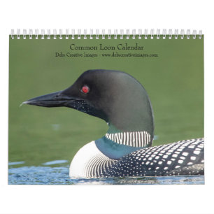 Calendrier 2027 Plongeons Huard   Photographie du lac Adirond