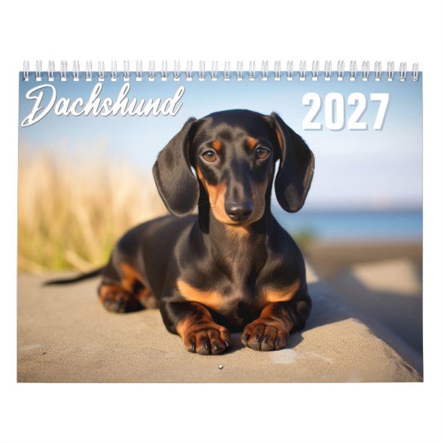 Calendrier 2027 pour les Dachshunds (Protection)