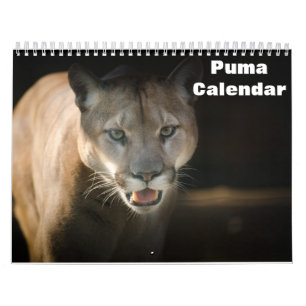 Calendrier 2027 Puma