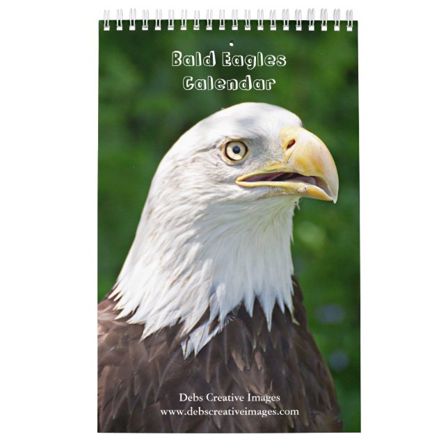 Calendrier 2027 Pygargues à tête blanche | Photographie de fa (Protection)
