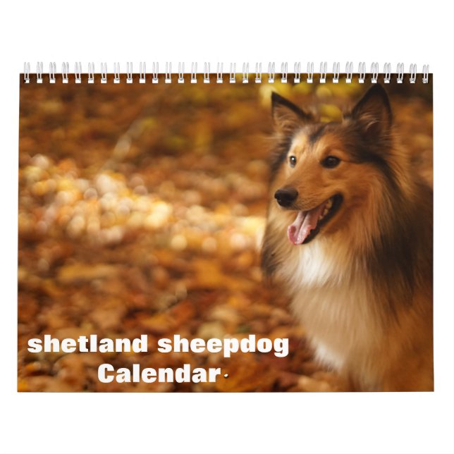 Calendrier 2027 Shetland Sheepdog (Protection)