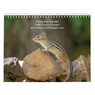 Calendrier 2027 Tamia d'Adirondack   Photographie de la forêt