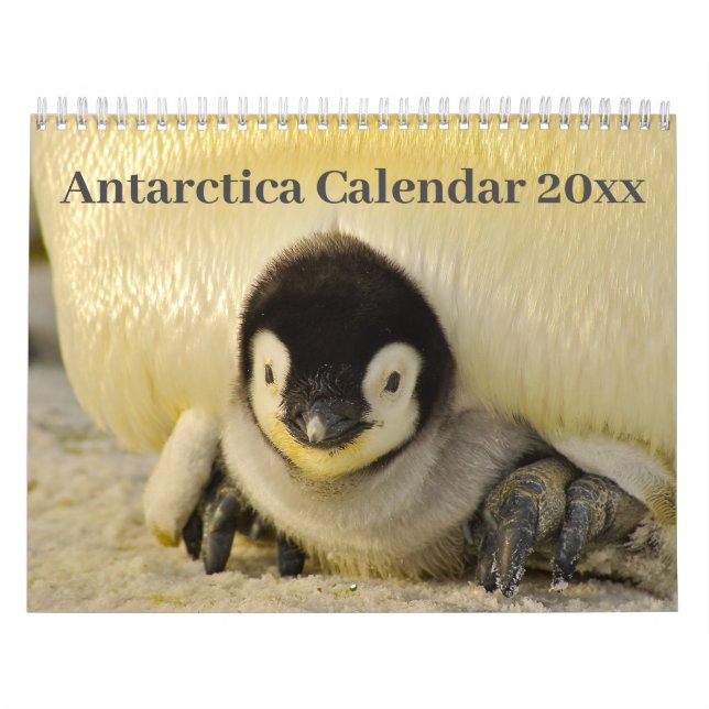 Calendrier 20xx - Antarctique (Protection)